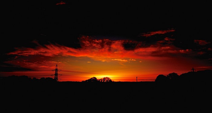 Sunset with power lines and trees silhouette