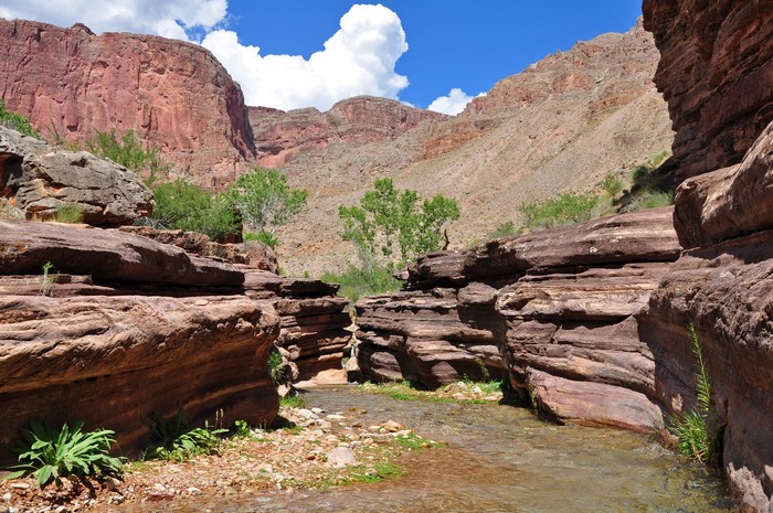 A narrow canyon with a stream flowing through it.