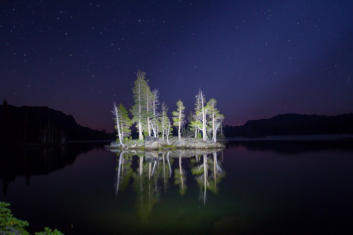 Island with trees on a lake at night under stars