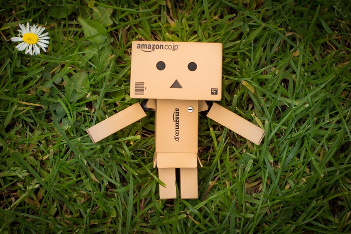 Danbo toy from Amazon on grass with a daisy