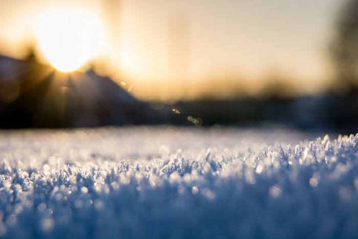 Closeup of frost crystals at sunrise