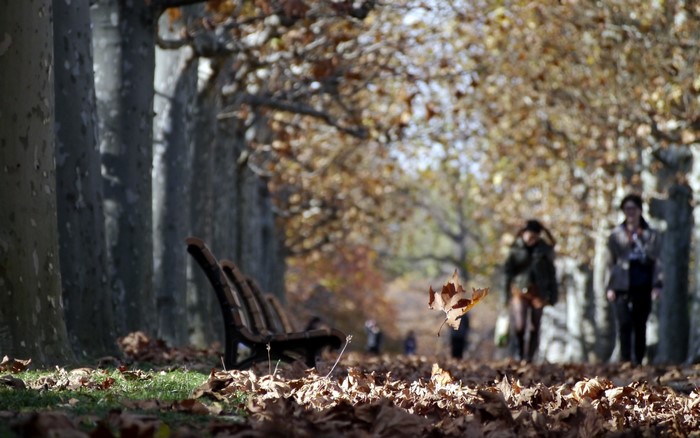 Autumn park with fallen leaves and people walking