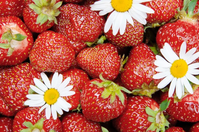Strawberries and Camomiles