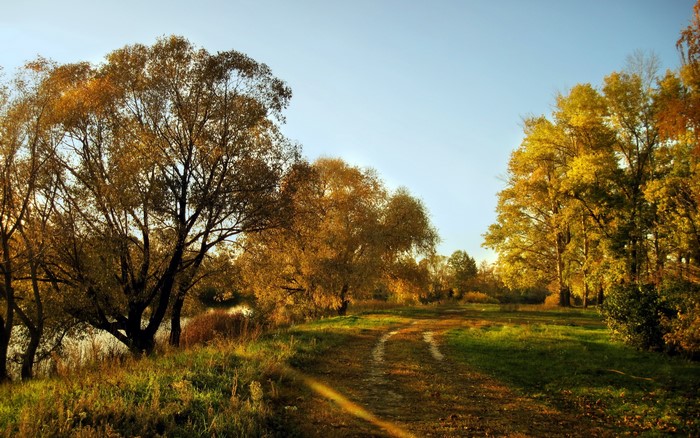 Autumn trees line a dirt road in a park