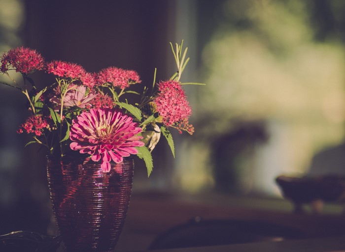 Pink flowers in a purple vase