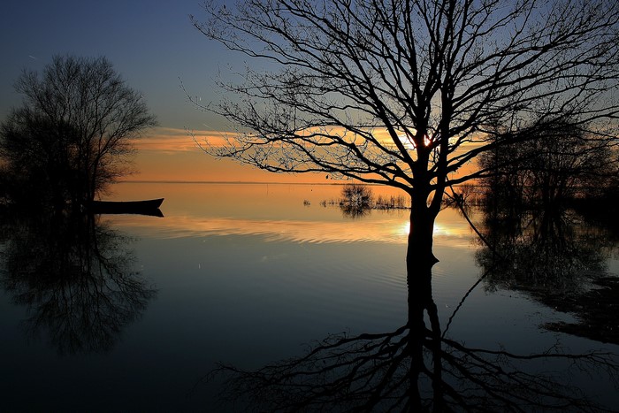 Silhouette of trees and a boat on a lake at sunset