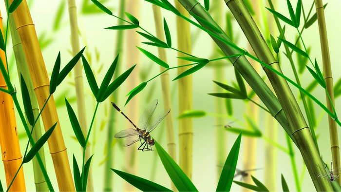 Dragonflies on Bamboo Stalks
