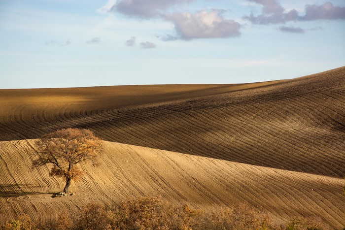Ploughed fields and a lone tree in Monti Prenestini, Italy