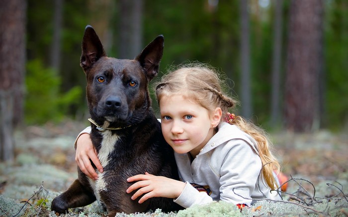 Girl and dog in a forest