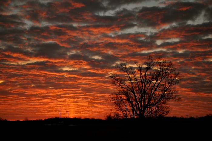 Sunset with silhouetted tree and clouds