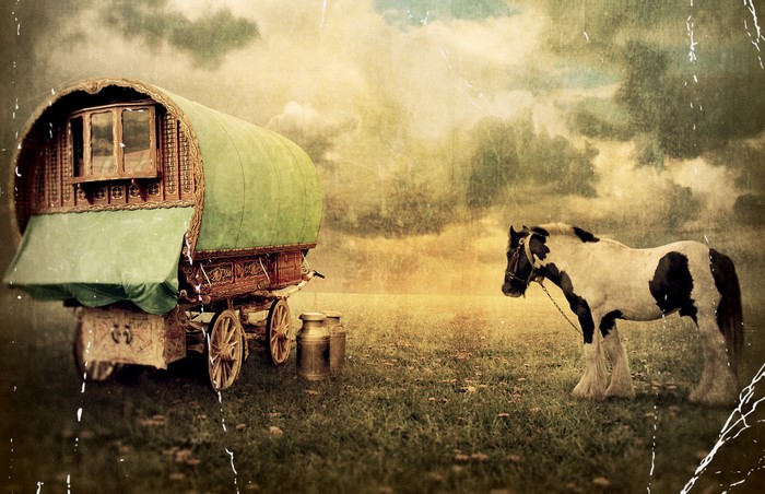 Horse and Gypsy Wagon in a Field