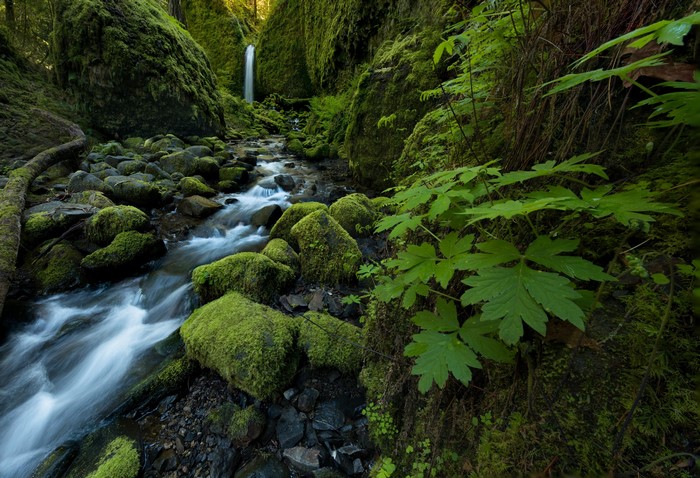 Mossy Grotto Falls Ruckel Creek Columbia River Gorge Oregon