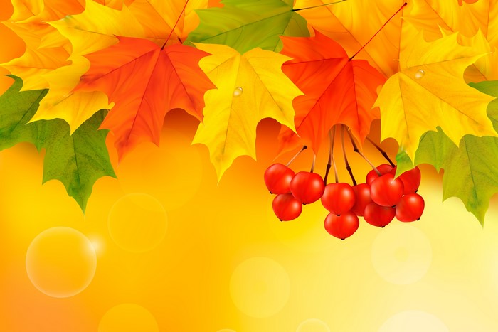 4K Autumn Leaves and Red Berries