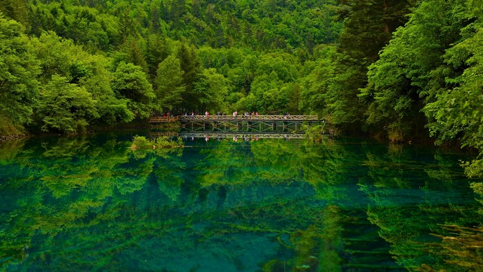 Sichuan China Lake Bridges Forests Jiuzhaigou park