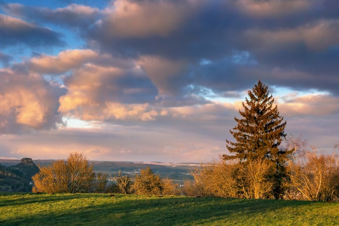 Landscape with trees and clouds at sunset