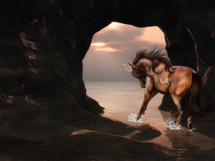 Horse in a cave by the sea
