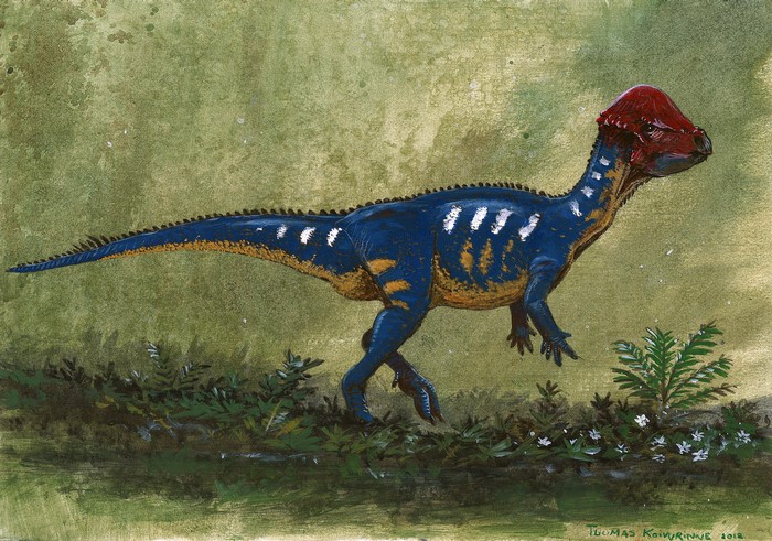 Prenocephale dinosaur in a prehistoric landscape