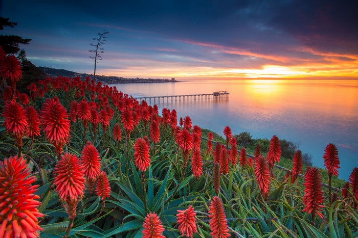 5K Agave USA Sunrises and sunsets San Diego