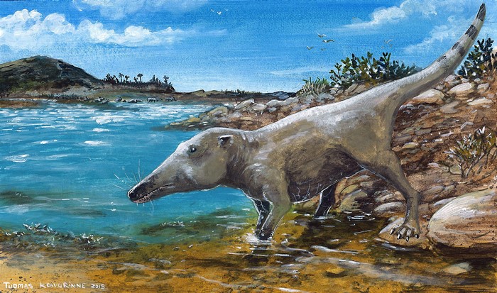 Pakicetus by Tuomas Koivurinne