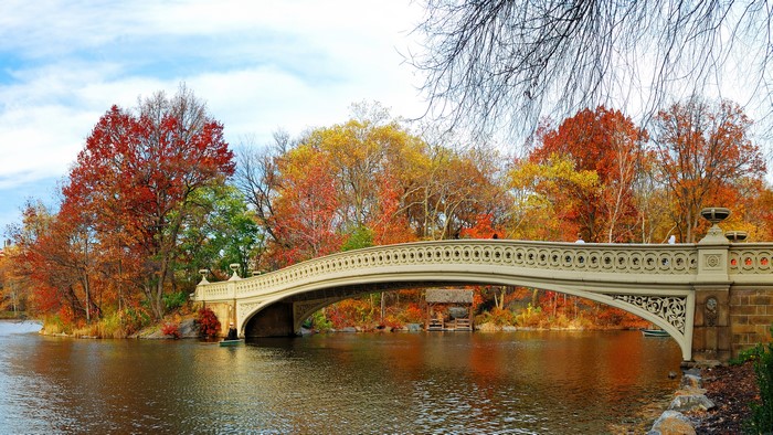 Bow Bridge in Central Park during Autumn