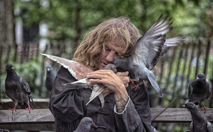 Man hugging pigeons in New York City