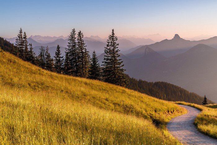 Mountain path through a grassy meadow in the Alps, Germany
