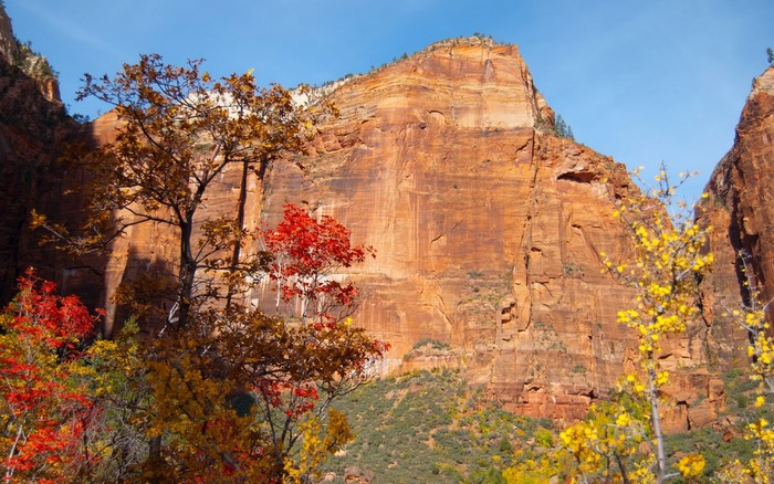 Mountains Autumn Crag Trees