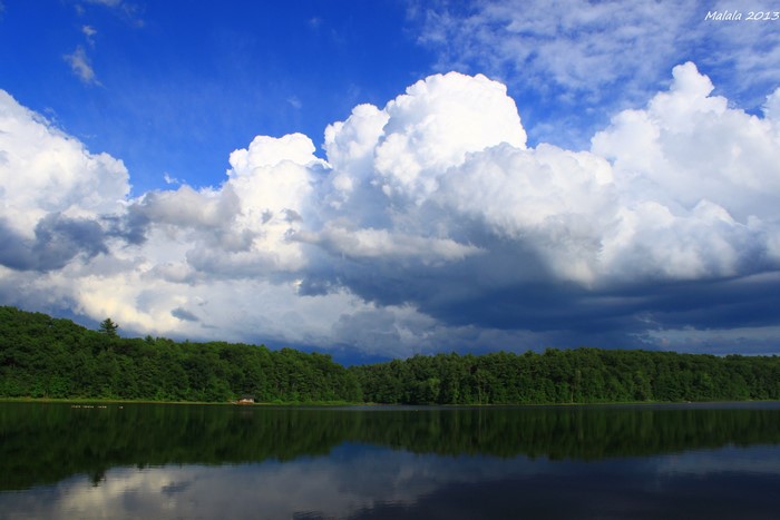 Lake and forest under dramatic clouds