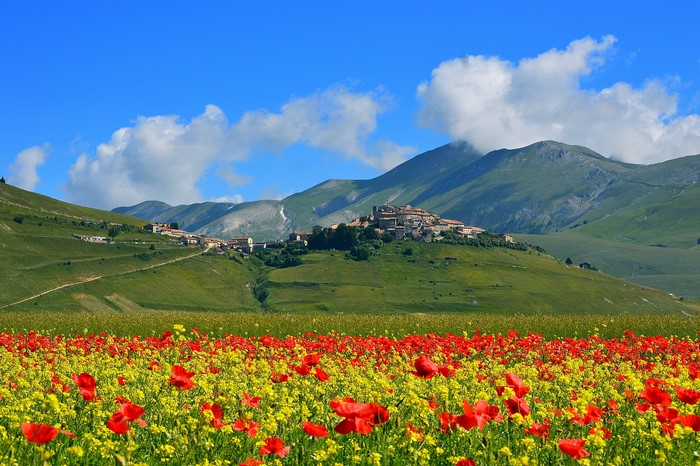 Castelluccio di Norcia village with poppy fields and mountains