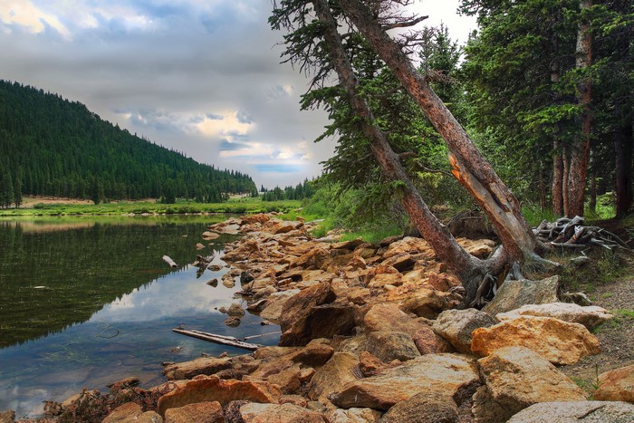 Rocky lake shore with pine forest and cloudy sky