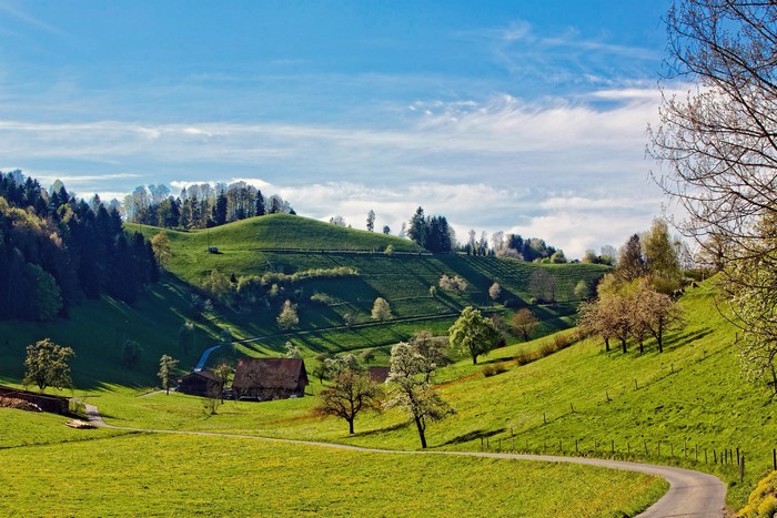 Green rolling hills with trees and a road