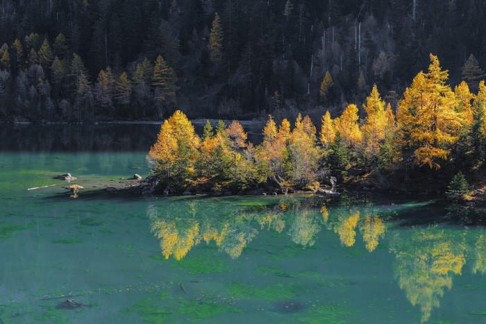Autumn trees reflected in a turquoise lake