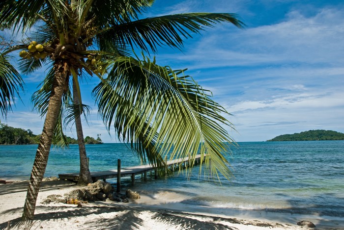 Tropical Beach with Palm Trees and Pier