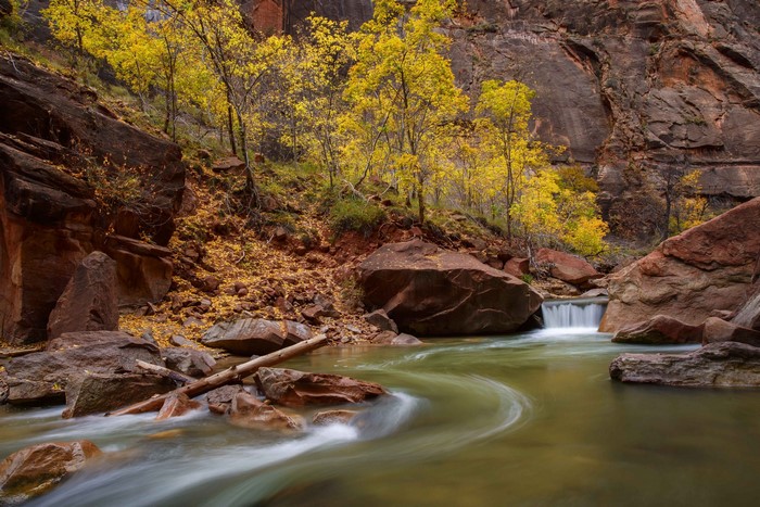 River flowing through Zion National Park in autumn