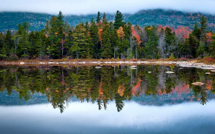 Autumn forest reflected in a calm lake