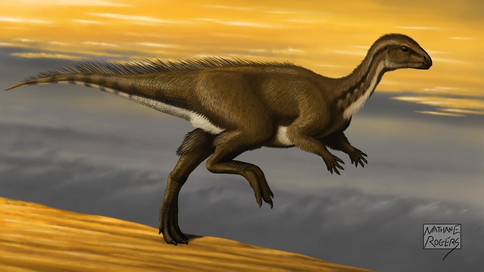 Orodromeus dinosaur in a prehistoric landscape