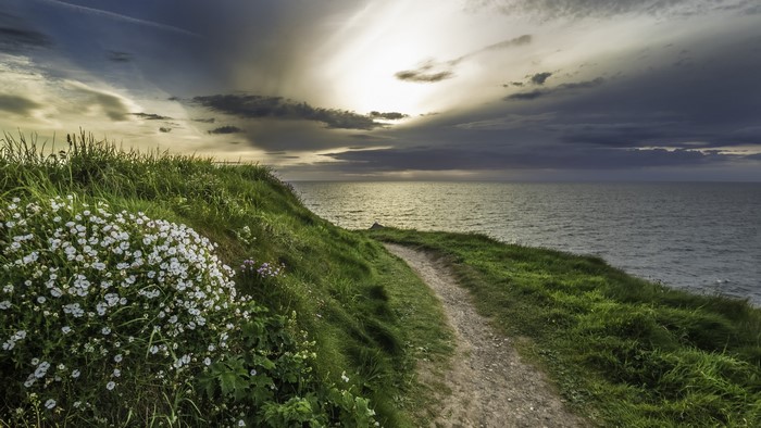 Coastal path with wildflowers and sea under dramatic sky