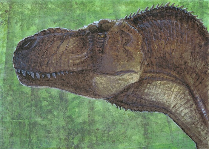 Tyrannosaurus Rex Dinosaur Portrait by Tuomas Koivurinne