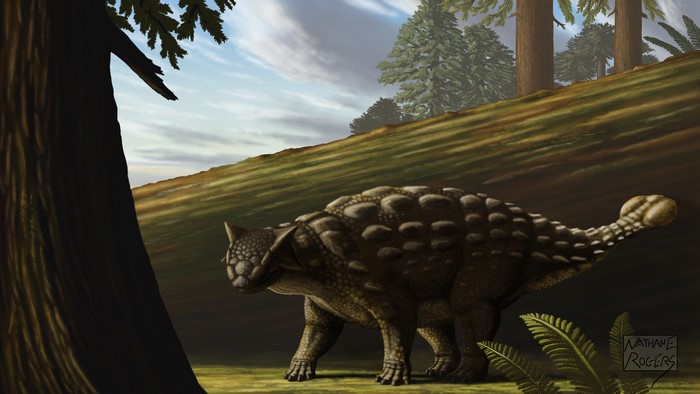 Ankylosaurus dinosaur in a prehistoric forest