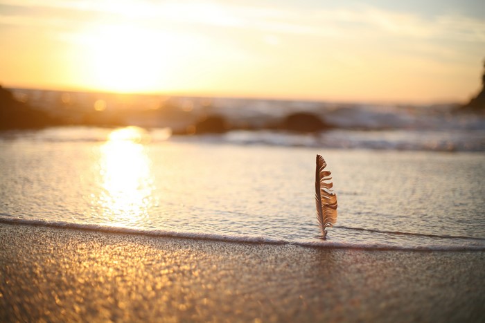 Feather on a beach at sunset