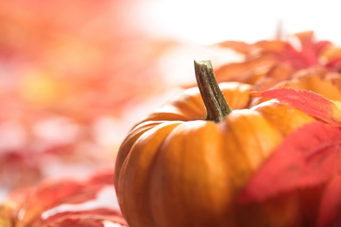 Pumpkin and autumn leaves