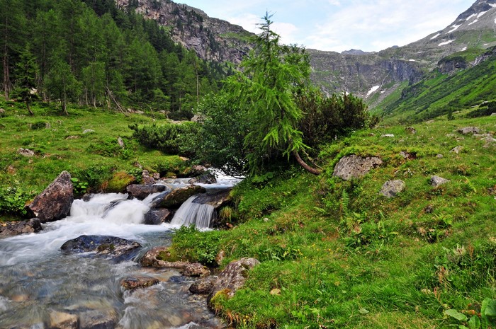 Mountain stream flowing through a green valley in Austria