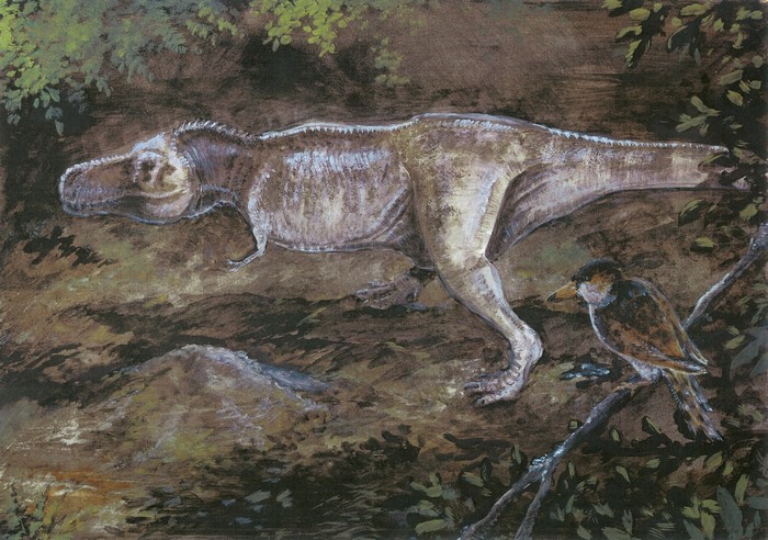Tyrannosaurus Rex and bird in a forest