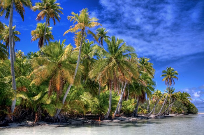 Tropical beach with palm trees and blue sky