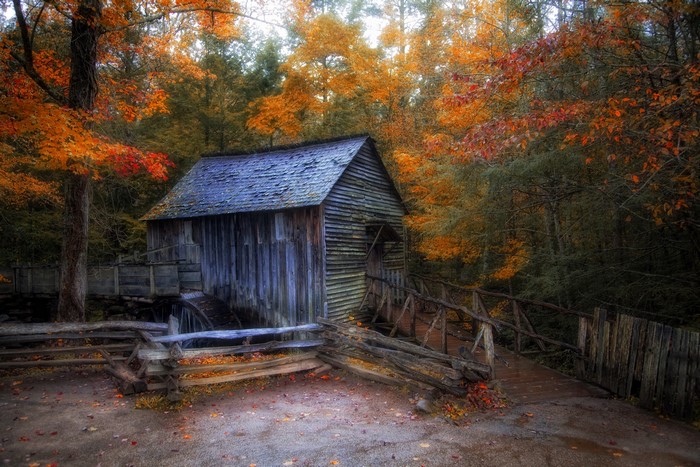 Old watermill in autumn forest