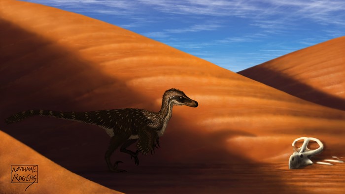 Velociraptor in a desert landscape with skull