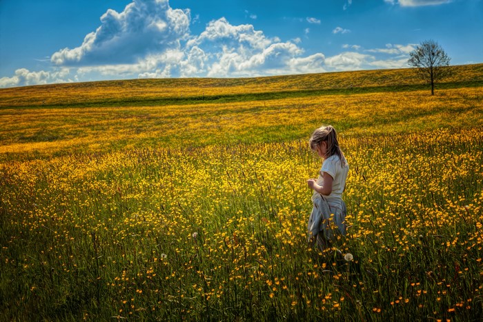 Girl in a field of yellow flowers
