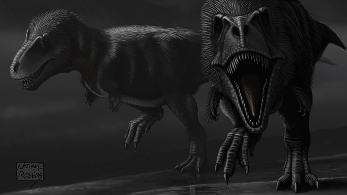 Tyrannosaurus Rex dinosaurs in the rain