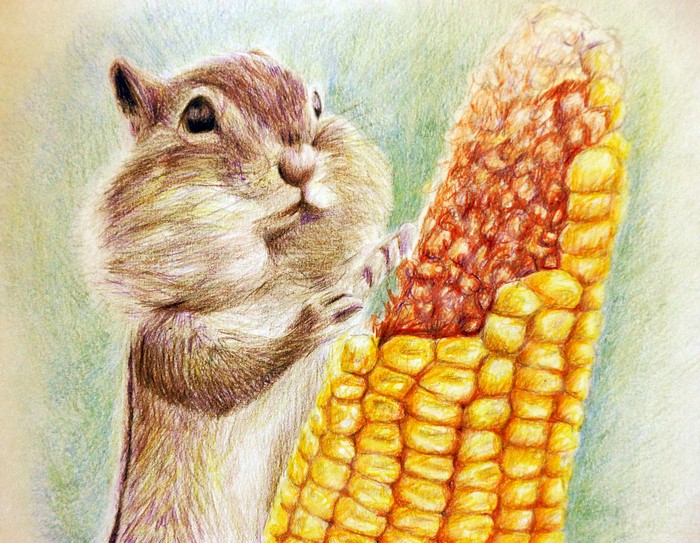 Chipmunk eating corn painting