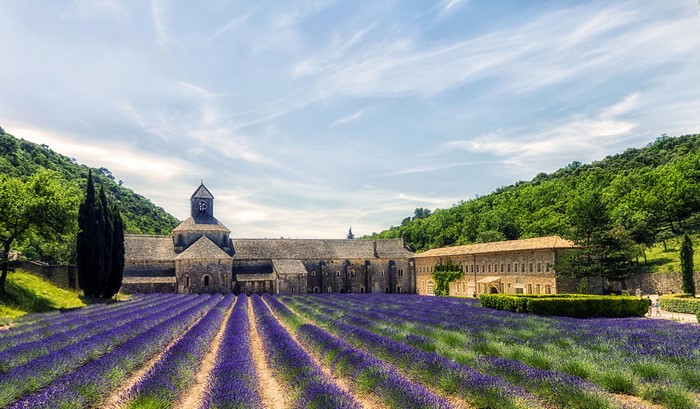 Abbey of Senanque with lavender fields, Provence, France